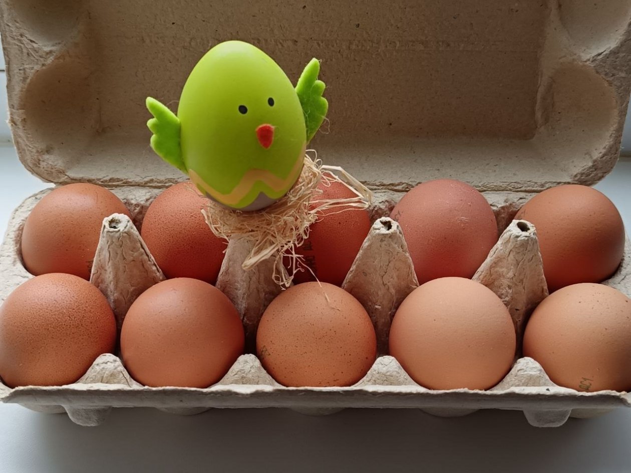 90% ошибаются: не храните яйца в дверце холодильника. Названо самое безопасное место ИА SevastopolMedia.ru