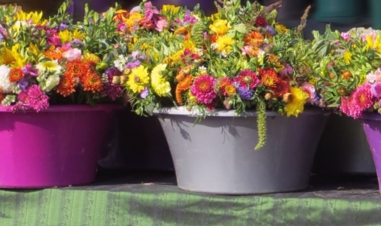 Тематическая иллюстрация Photo by form PxHere