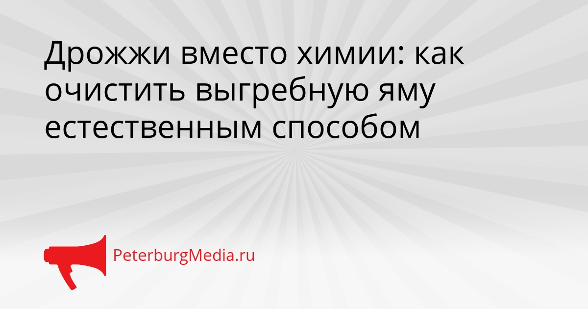 Дрожжи вместо химии: как очистить выгребную яму естественным способом Сгенерировано