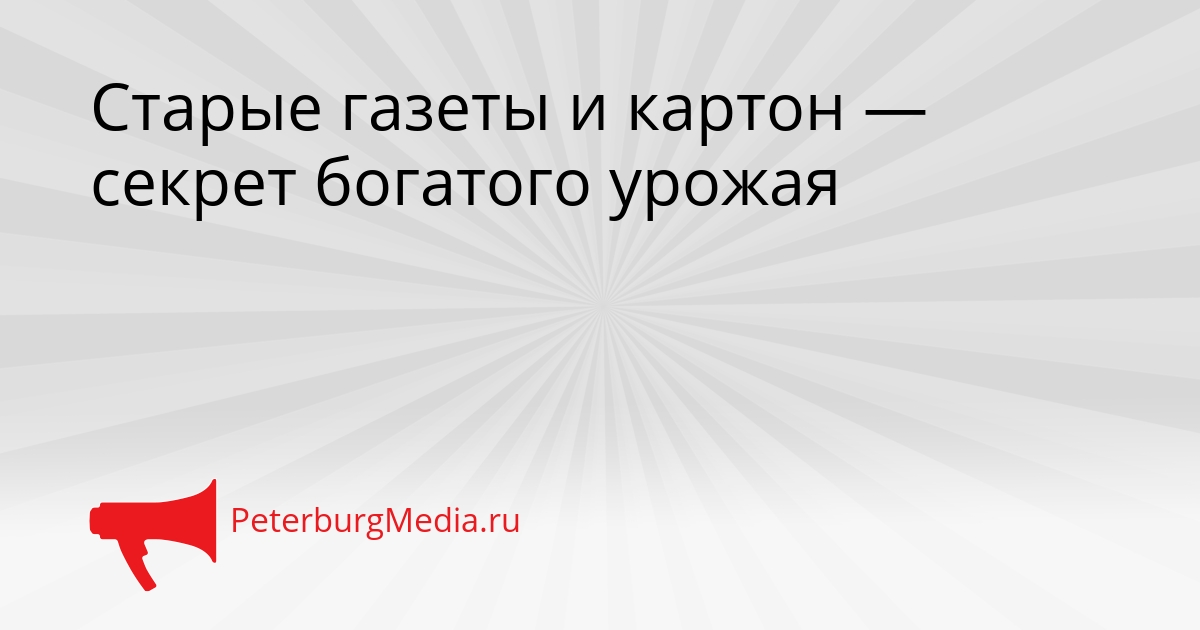 Старые газеты и картон — секрет богатого урожая Сгенерировано