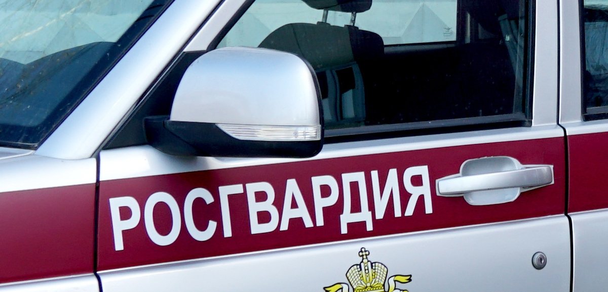 Тематическое фото пресс-служба Росгвардии Сахалинской области