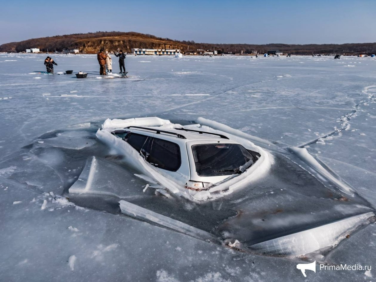 Тематическое фото ИА PrimaMedia