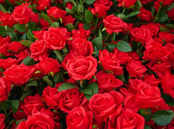 Тематическое фото Pxhere.com