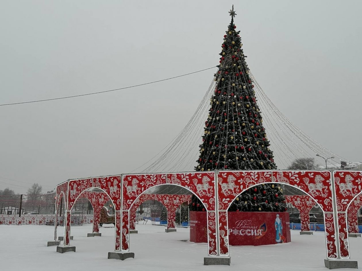 Снегопад в Уссурийске 10 января Александр Шепырев, ИА UssurMedia