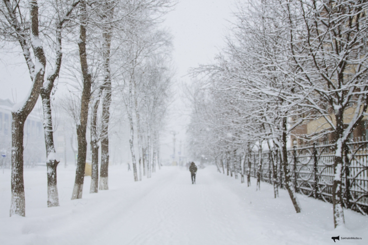Тематическое фото Владислав Беляцкий, ИА SakhalinMedia