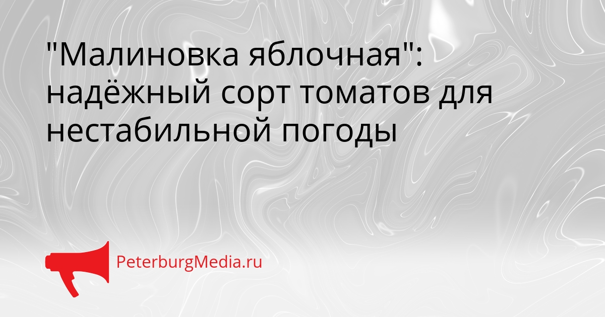 &quotМалиновка яблочная&quot: надёжный сорт томатов для нестабильной погоды Сгенерировано