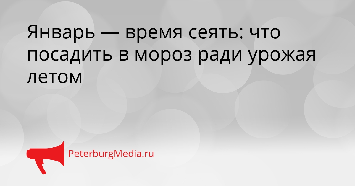 Январь — время сеять: что посадить в мороз ради урожая летом Сгенерировано