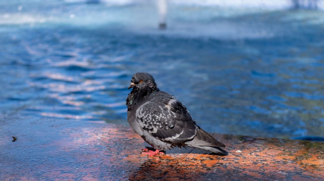 Аномальное тепло уже в марте: синоптики сделали неожиданный прогноз ИА KrasnodarMedia