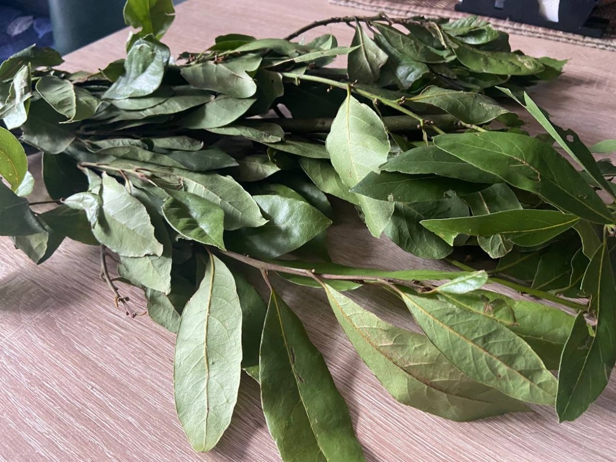 Не только в суп: зачем умные хозяйки кипятят лаврушку - лайфхак для генеральной уборки ИА SevastopolMedia.ru