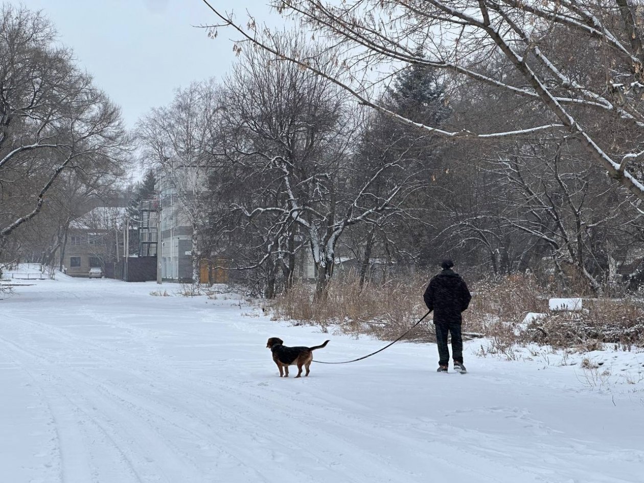 Снегопад на неделе в Якутске Александр Шепырев, ИА UssurMedia