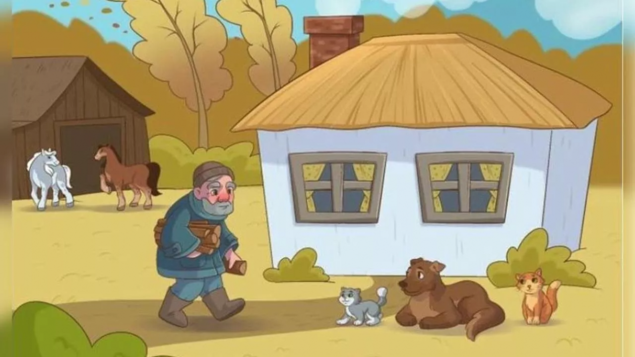 Тематическое фото Bright side