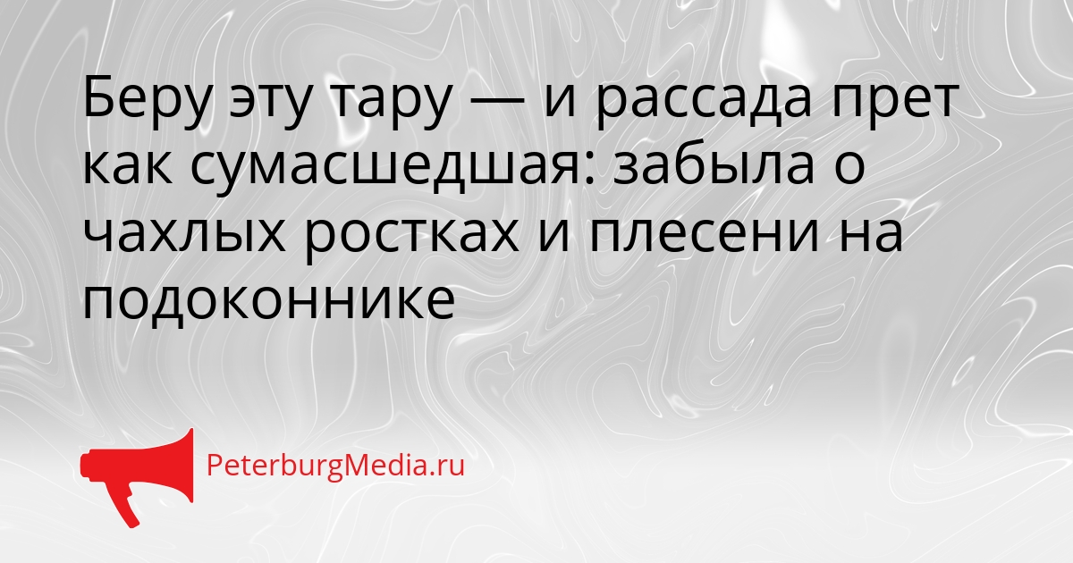 Беру эту тару — и рассада прет как сумасшедшая: забыла о чахлых ростках и плесени на подоконнике Сгенерировано