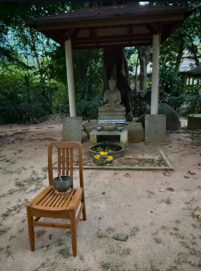 Соцсети знаменитостей