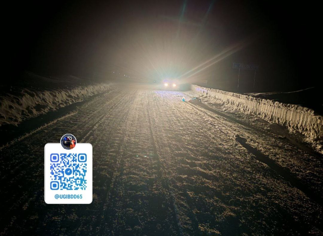 ДТП в Углегорском районе УГИБДД УМВД России по Сахалинской области