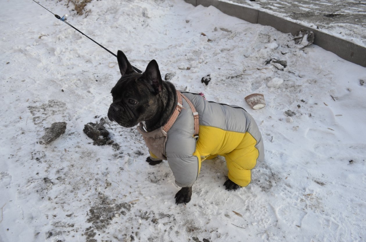 Будет холодно Евгения Микушина, ИА UssurMedia