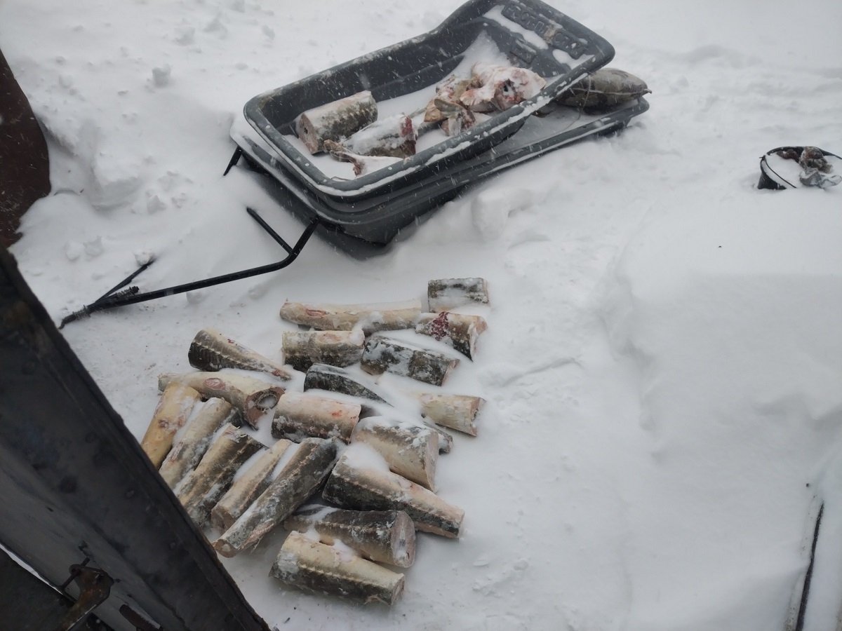 Житель Хабаровского края  попался на браконьерстве и наркотиках Пресс-служба УМВД России по Хабаровскому краю