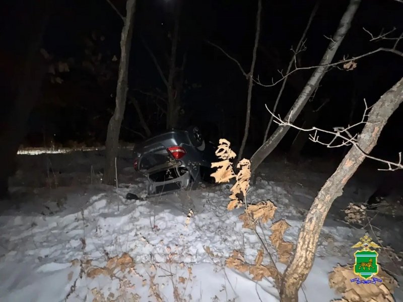 ДТП Госавтоинспекция ЕАО