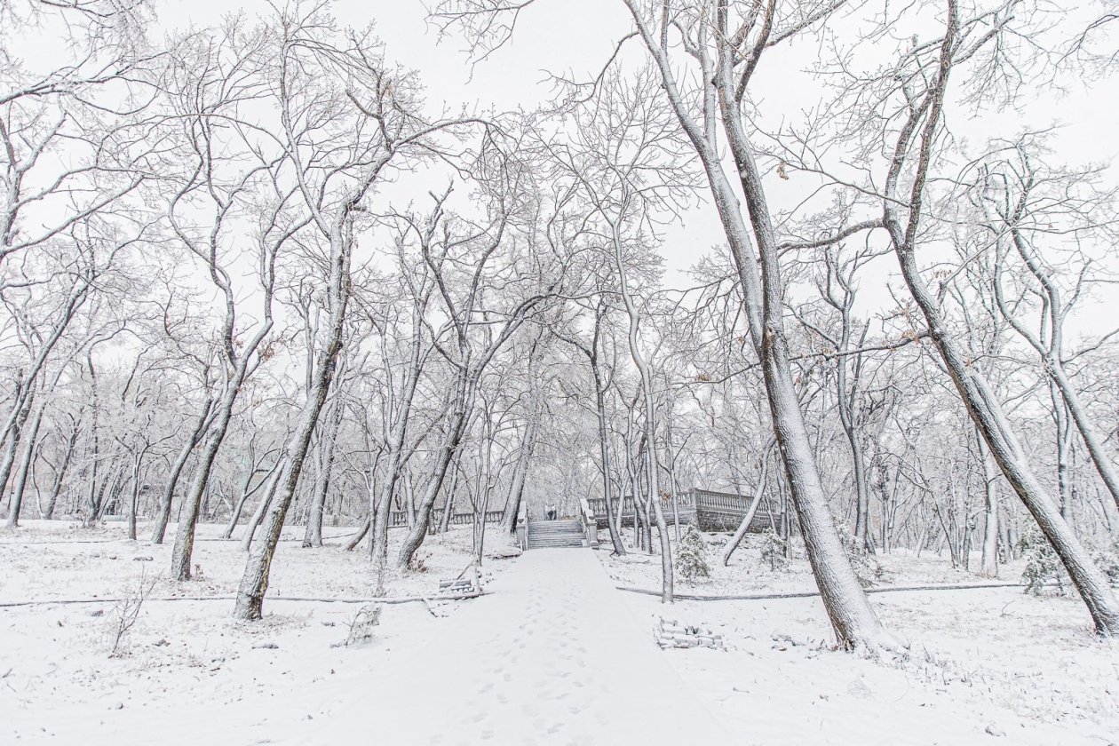 Тематическое фото ИА PrimaMedia