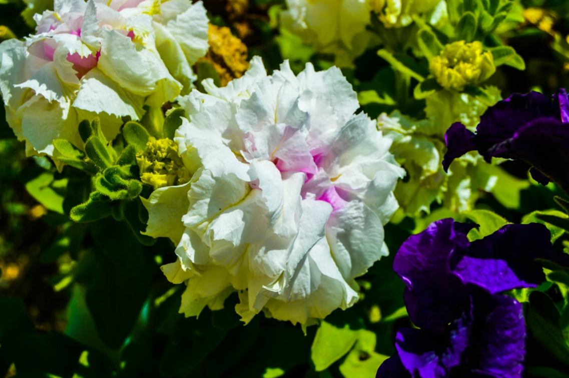 Тематическое фото unsplash.com (18+)