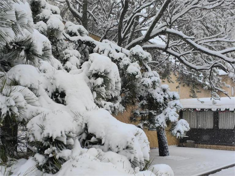 На Кубань надвигается сильный мороз из центра России KrasnodarMedia