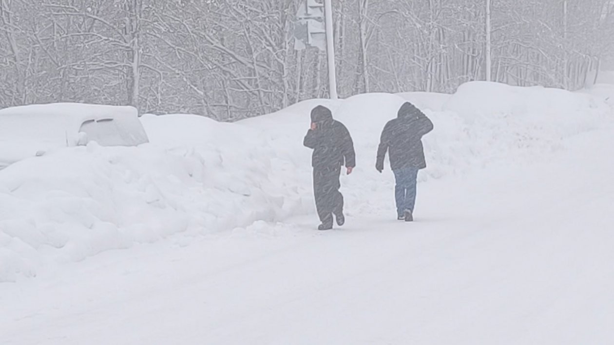 Циклон Ирина Васильева, ИА KamchatkaMedia