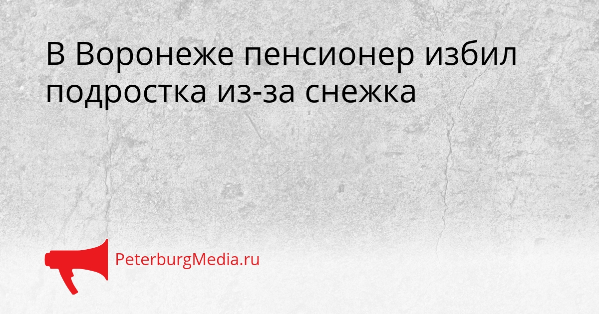 В Воронеже пенсионер избил подростка из-за снежка Сгенерировано