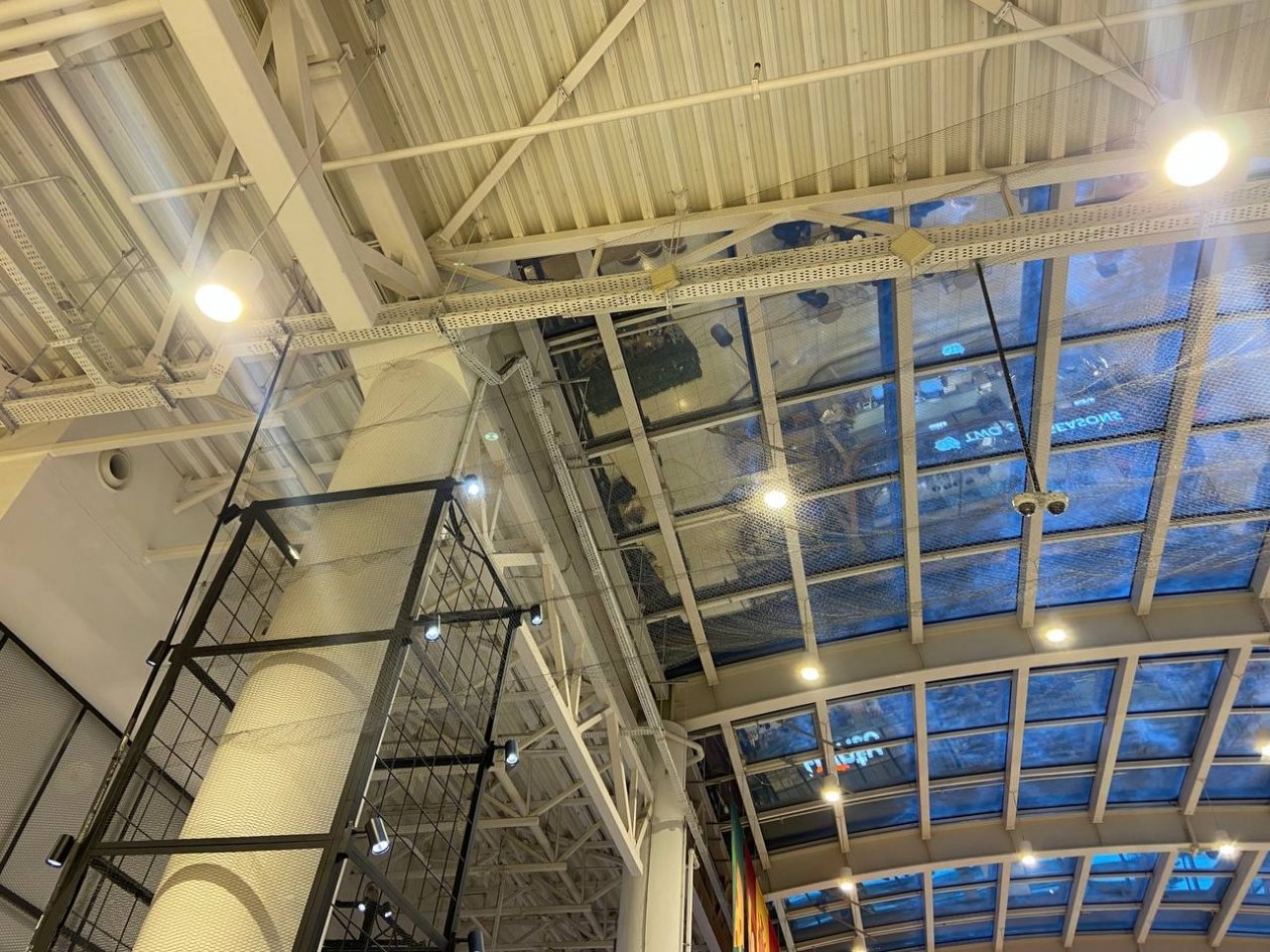 Сетки, в которых запутались птицы и погибли ИА StolicaMedia