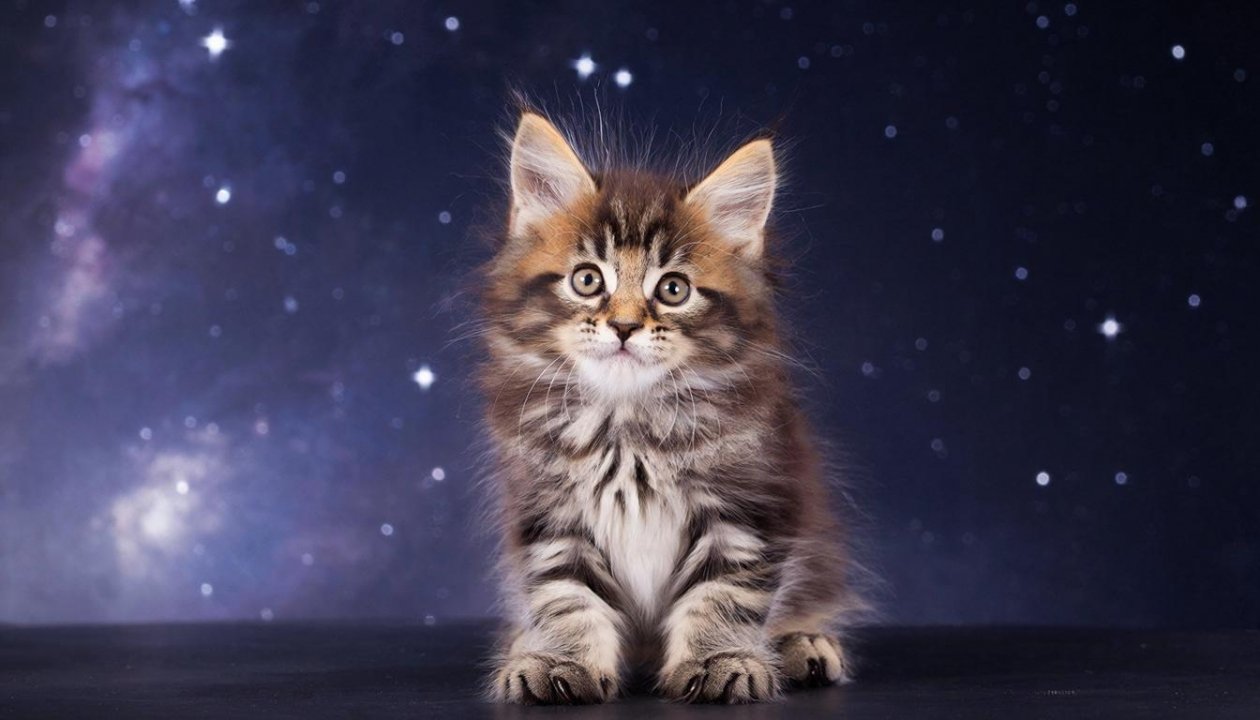 точный гороскоп ИИ Kandinsky (18+)