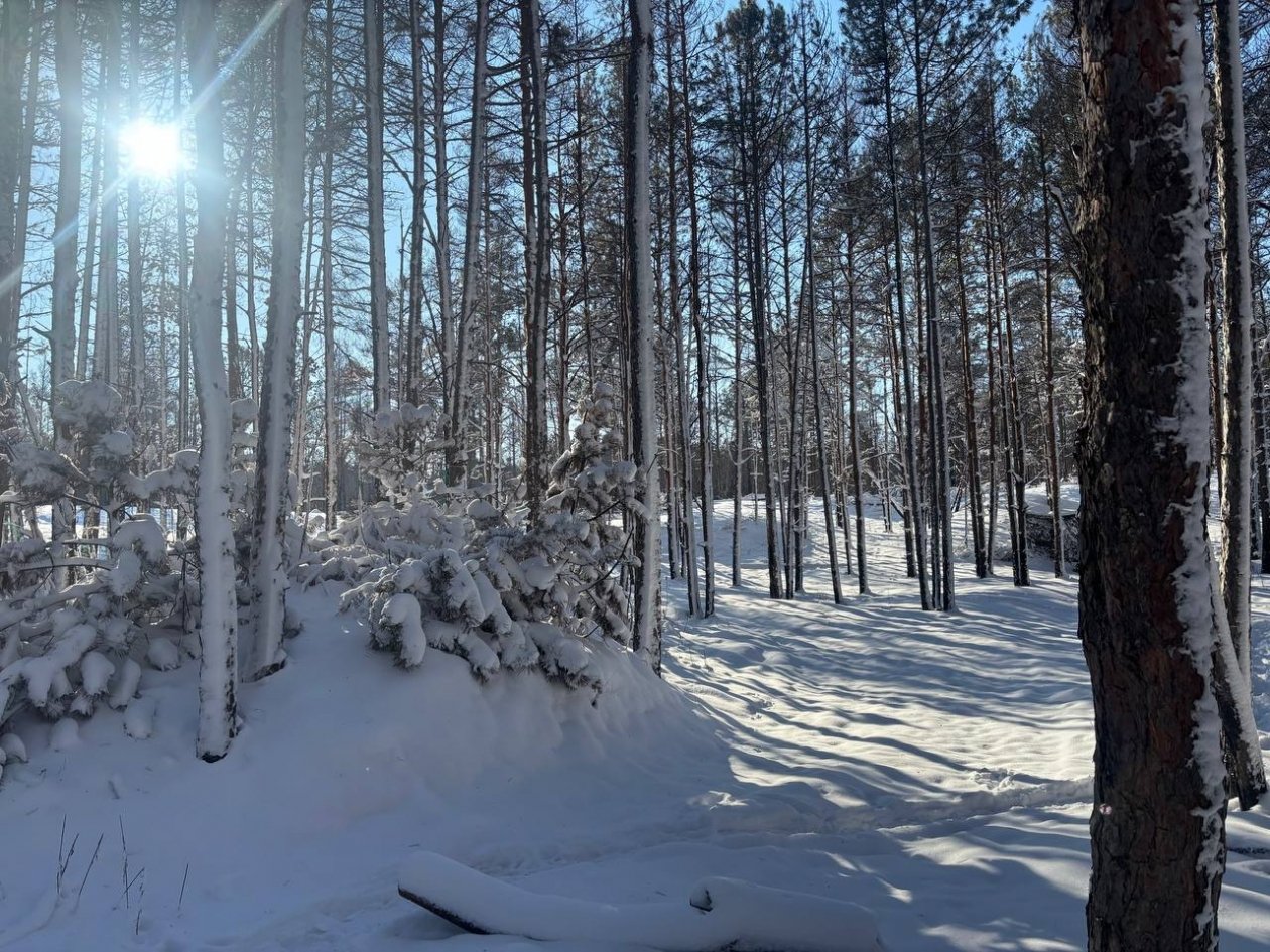 На передовой бушевала зима Народный Фронт Крыма