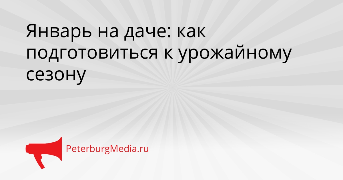 Январь на даче: как подготовиться к урожайному сезону Сгенерировано