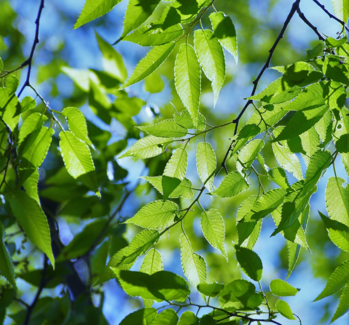 Тематическое фото pxhere.com