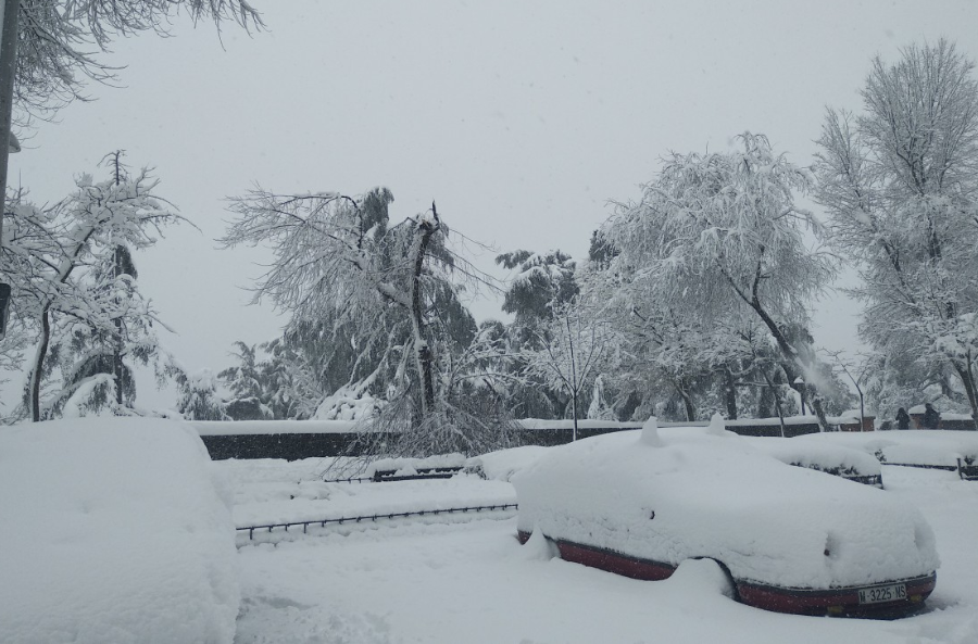 Тематическое фото pxhere.com