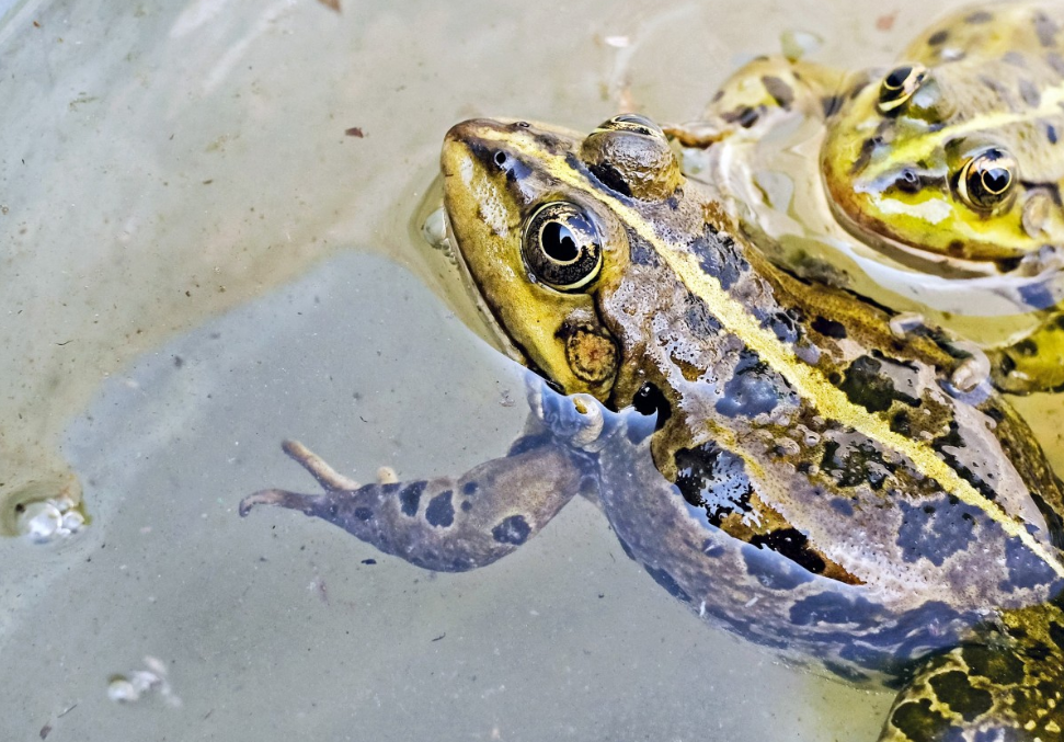 Тематическое фото pxhere.com