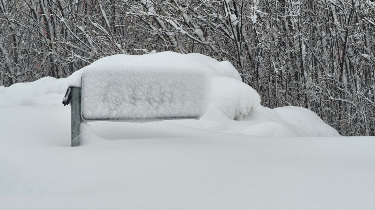 Циклон Ирина Васильева, ИА KamchatkaMedia