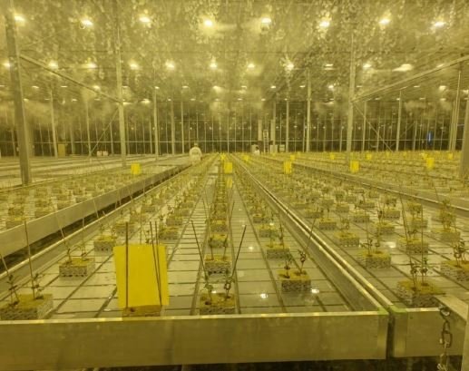 Тематическое фото Правительство Магаданской области