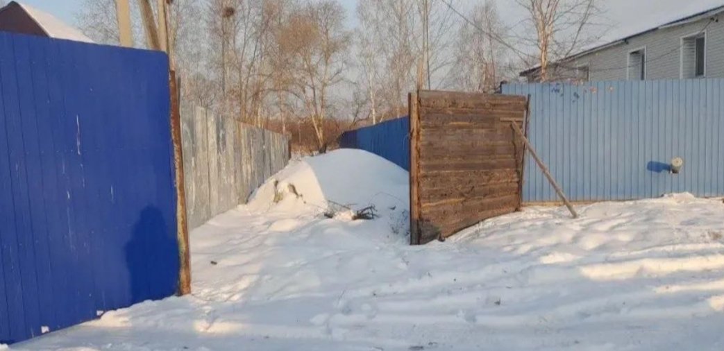 Амурская бассейновая природоохранная прокуратура