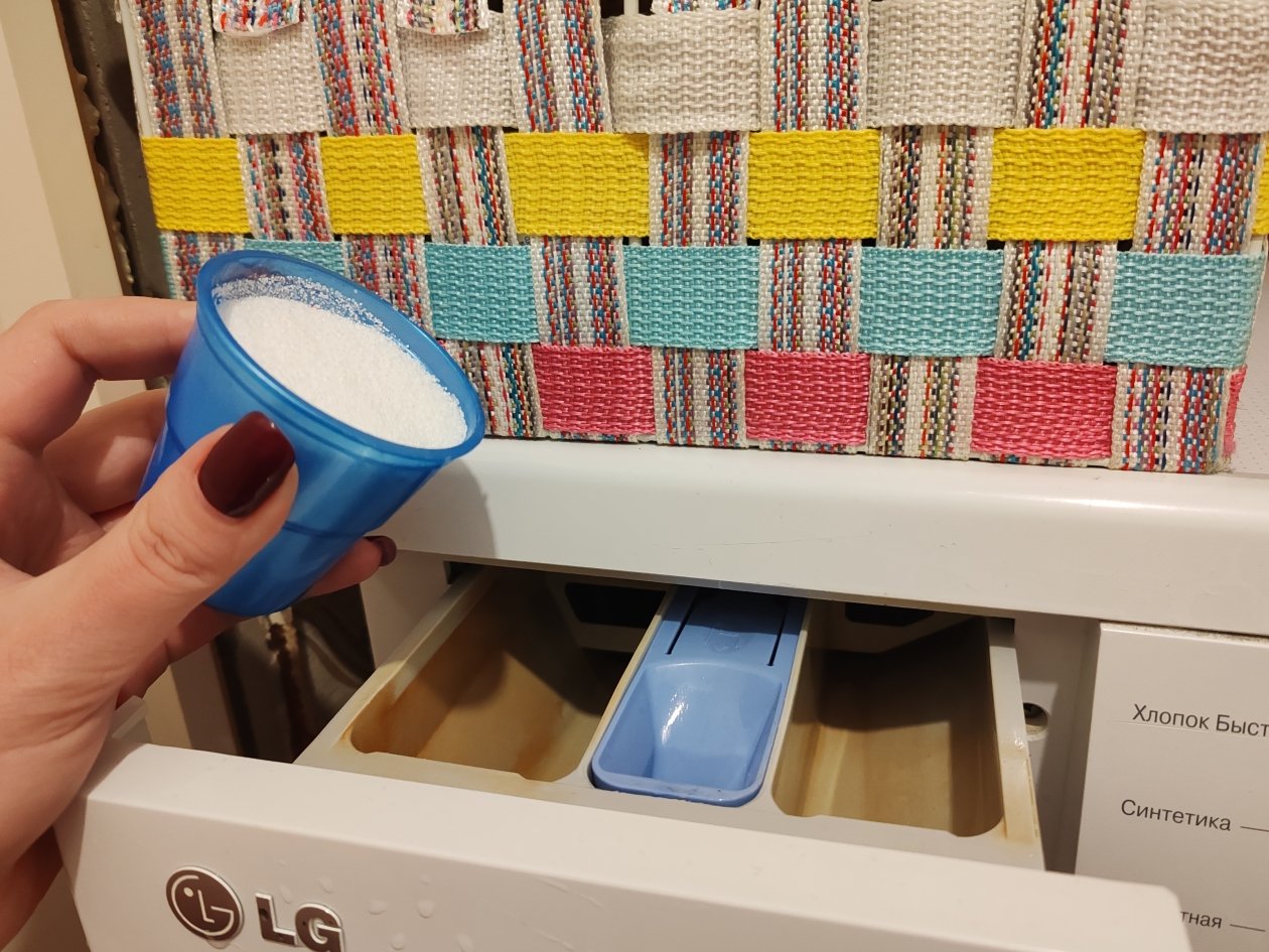 Тематическое фото ИА PrimaMedia, Кулакова Ксения