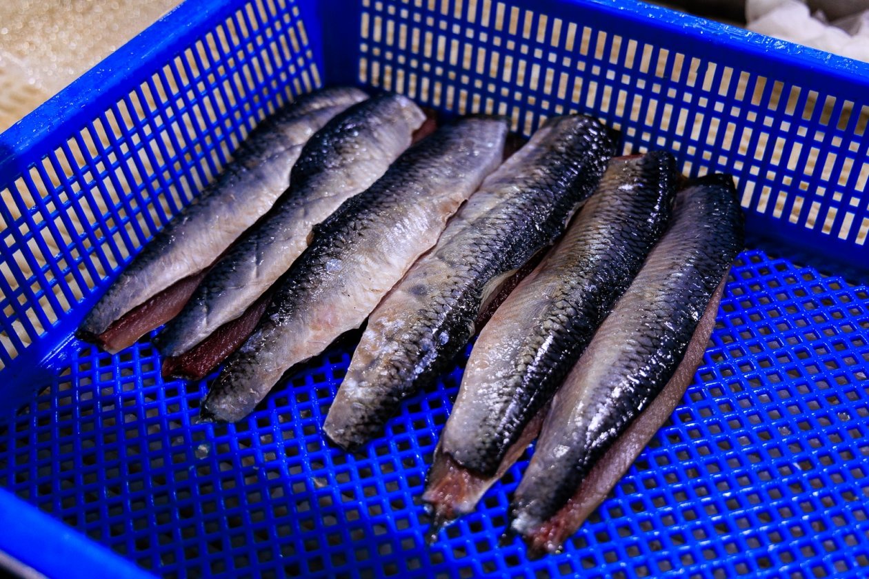 рыба, селедка, сельдь, разделка рыбы, филе Евгений  Кулешов, ИА PrimaMedia.ru