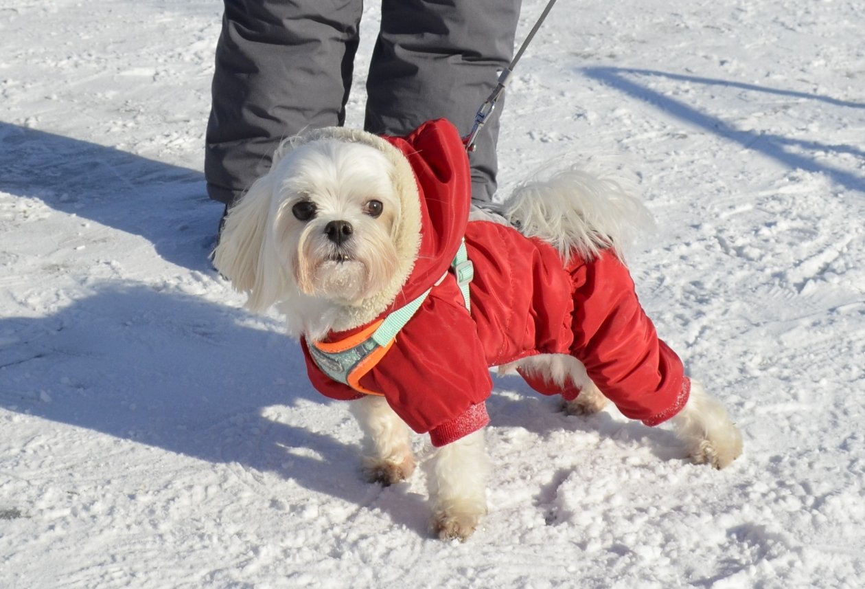 Опасность обморожения в Уссурийске Евгения Микушина, ИА UssurMedia