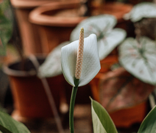 Тематическое фото unsplash.com (18+)