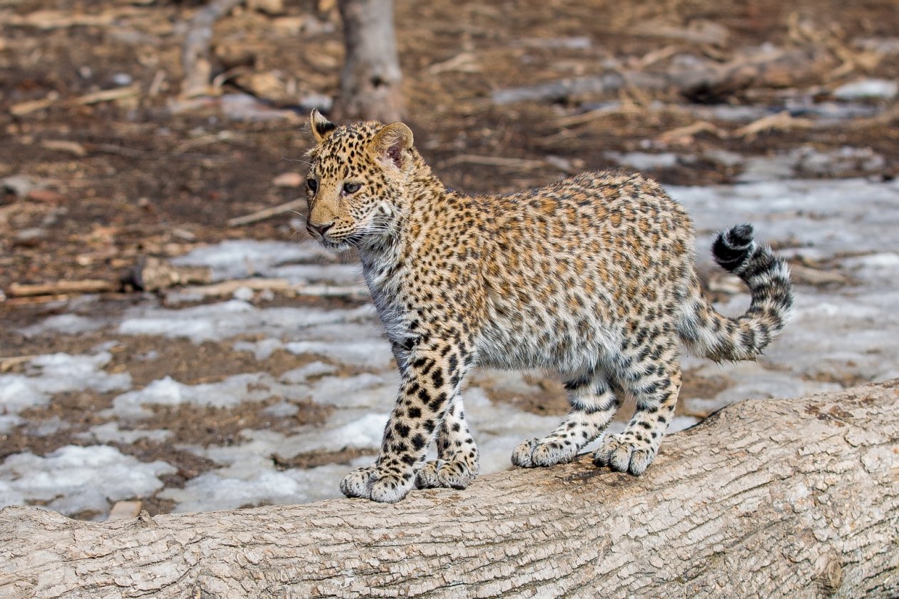 Тематическое фото ИА PrimaMedia