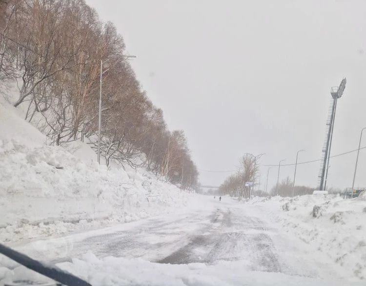 Фото с места событий Правительство Камчатского края