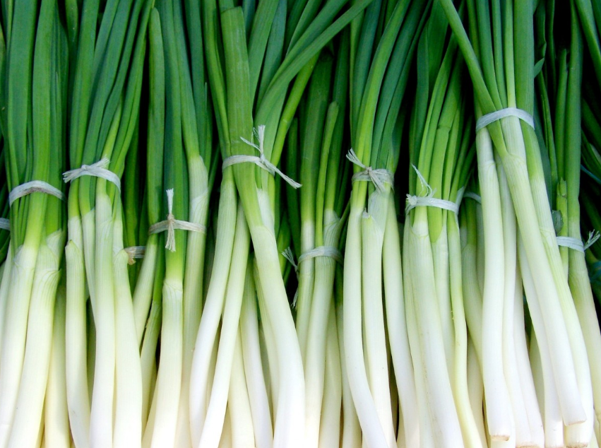 Тематическое фото pxhere.com