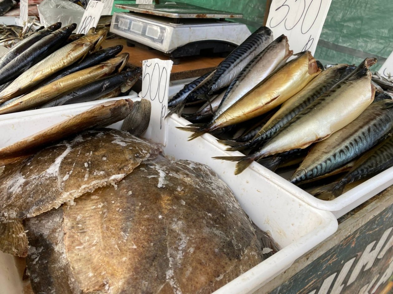 Соцсети О. Каторгина