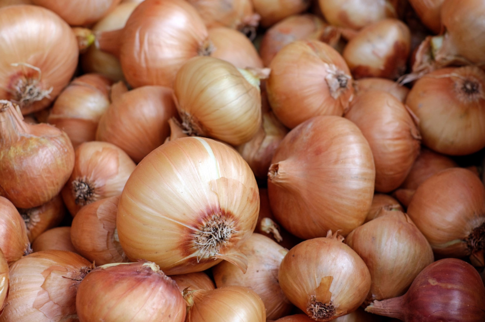 Тематическое фото pxhere.com