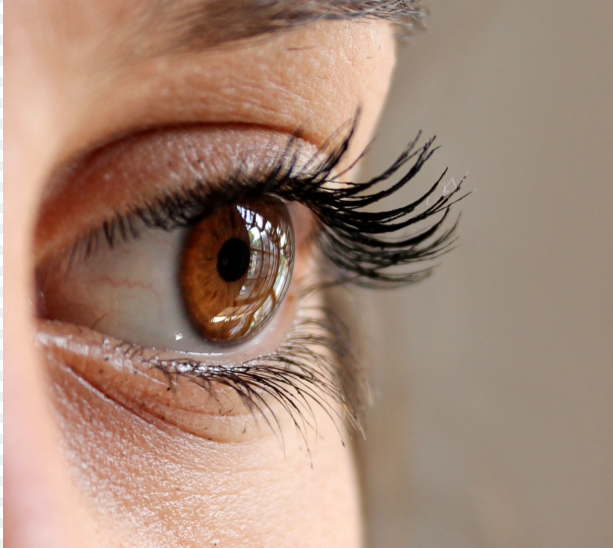 Тематическое фото pxhere.com