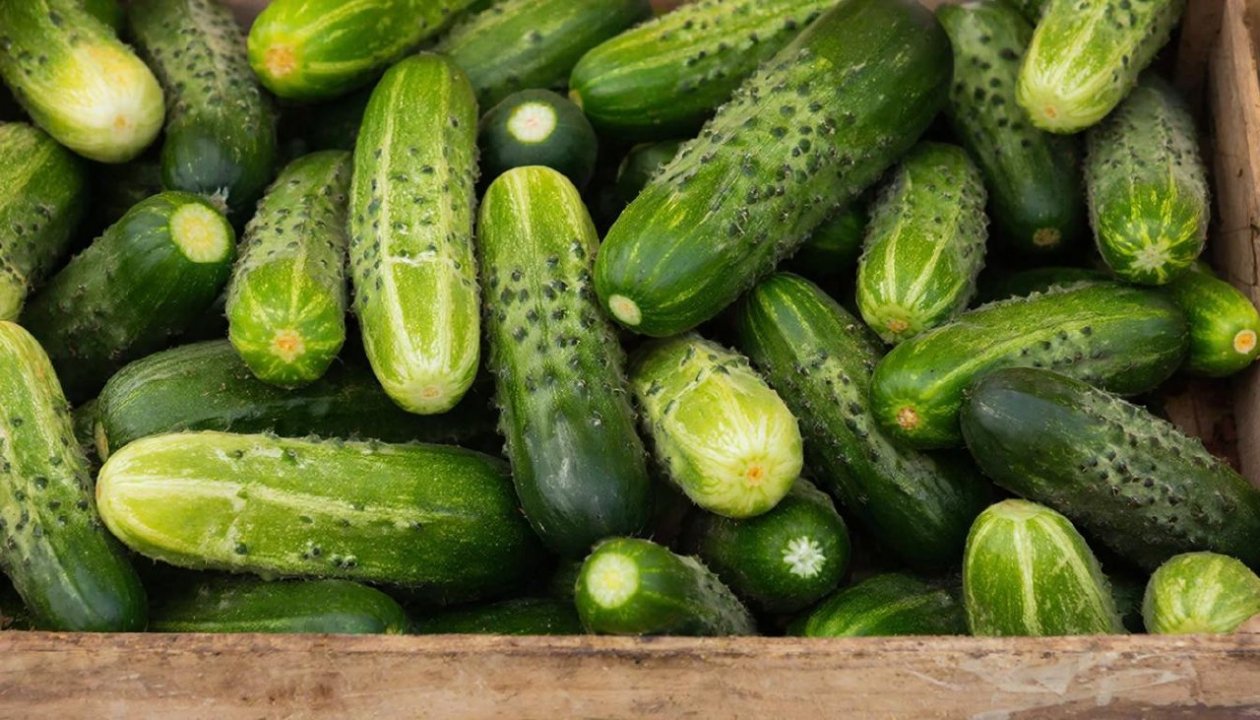 Изображение GigaChat (18+)