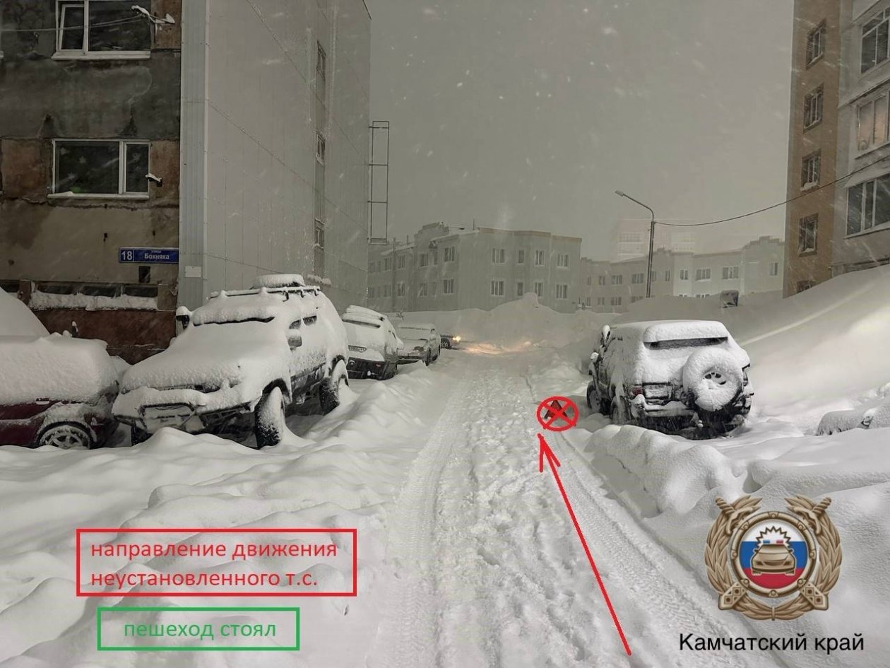 Фото с места событий УГИБДД УМВД России по Камчатскому краю