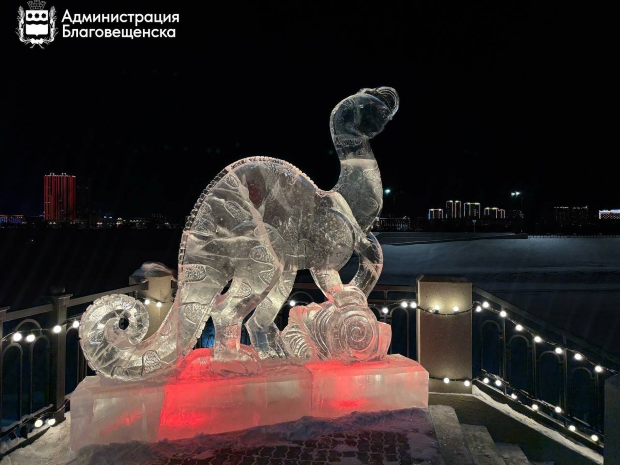 пресс-служба администрации Благовещенска