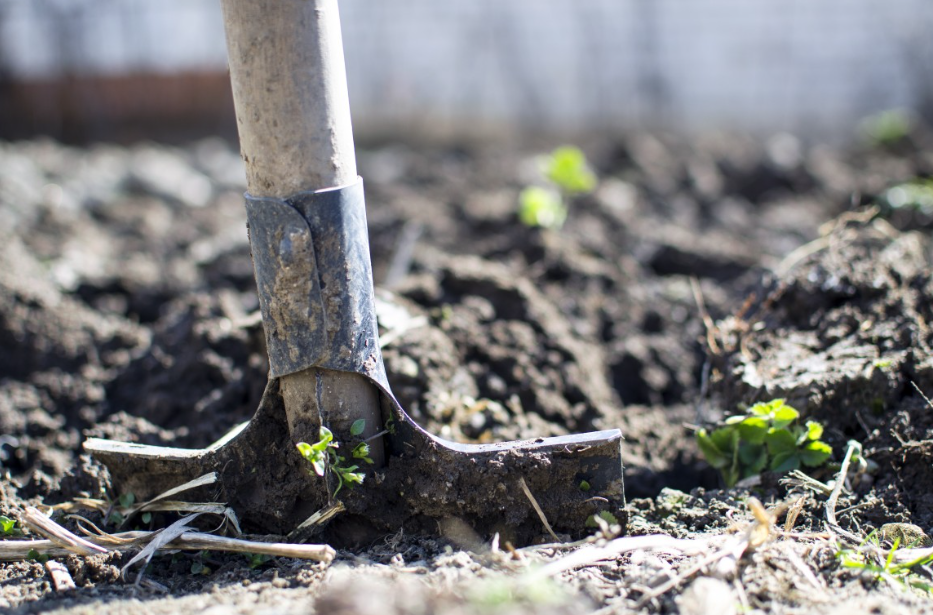 Тематическое фото pxhere.com (18+)